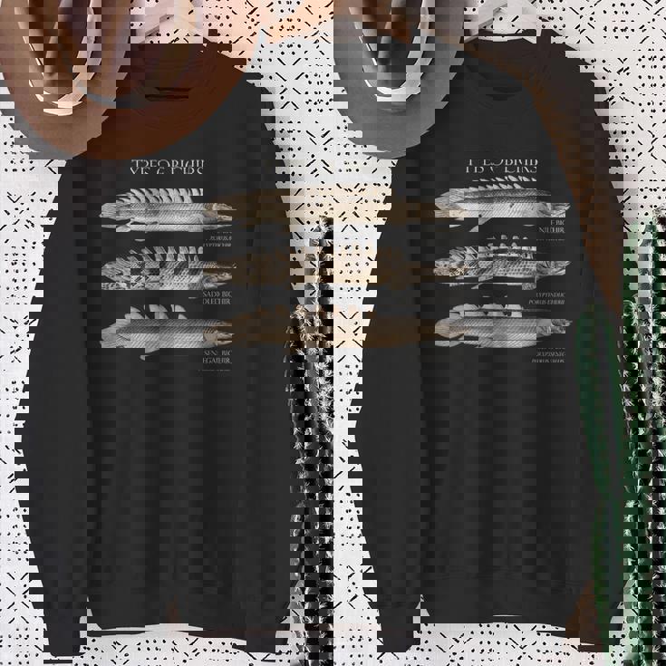 Polypterus Bichir ポリプテルスタイプ水族館フィッシュモンスターフィッシュキーパーアクアリストギフト スウェットシャツ 年配の女性への贈り物