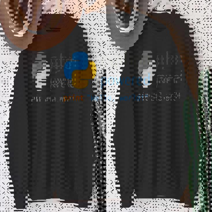 Pythonプログラマーティーコンピューター開発者 スウェットシャツ 年配の女性への贈り物