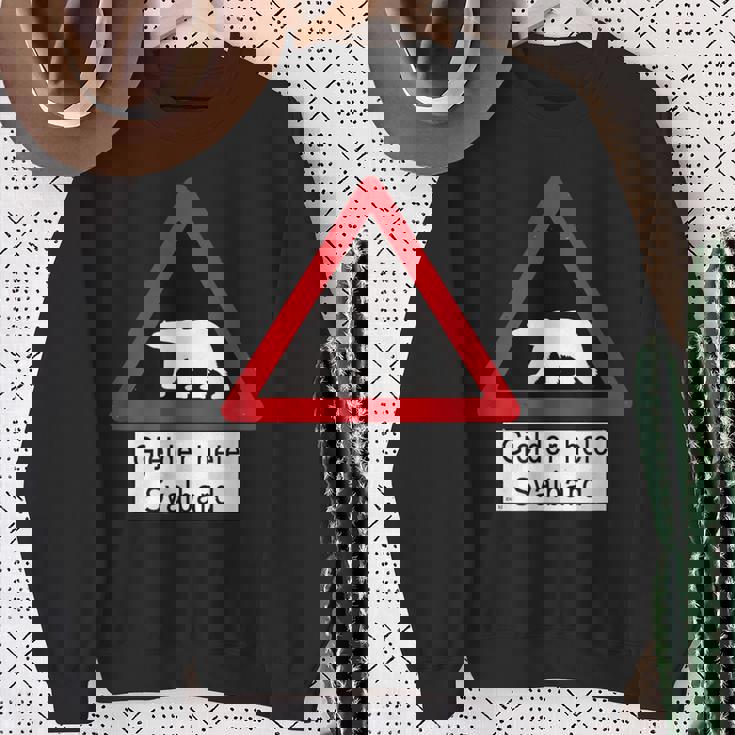 Svalbard Polar Bearign スウェットシャツ 年配の女性への贈り物