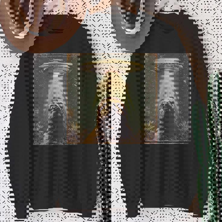 Ufo と面白いナマケモノのセルフィー、面白いナマケモノ スウェットシャツ 年配の女性への贈り物