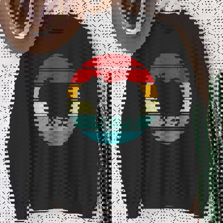 Vintage Retrounset Capybara スウェットシャツ 年配の女性への贈り物