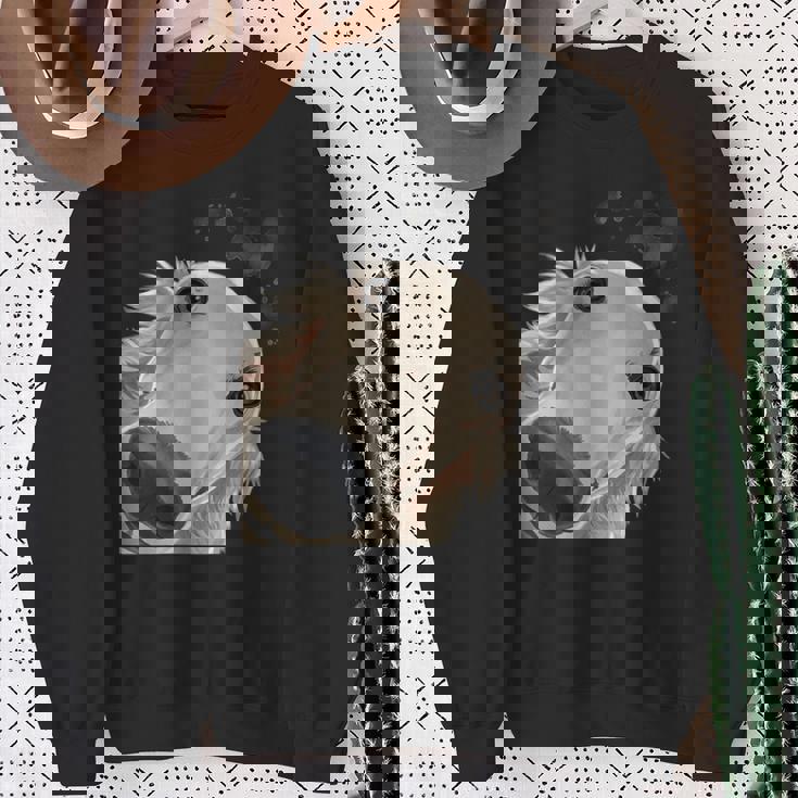 おさるの犬 バルソイ スウェットシャツ 年配の女性への贈り物