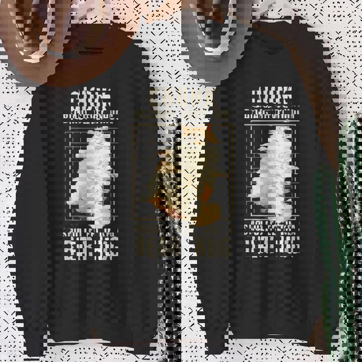 かわいい ラガマフィン 猫 面白い チョンク ぽっちゃり 猫 スウェットシャツ 年配の女性への贈り物