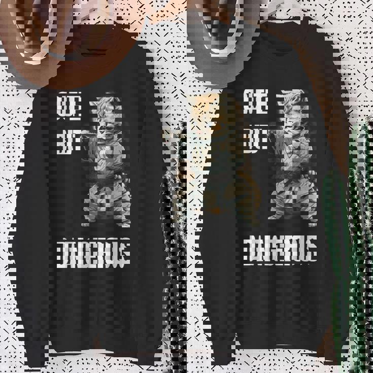 かわいいけど危険な空手 面白い テコンドー 猫 格闘技 スウェットシャツ 年配の女性への贈り物