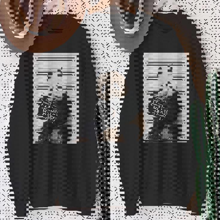 かわいいパンダの顔写真 犯罪者パンダ スウェットシャツ 年配の女性への贈り物