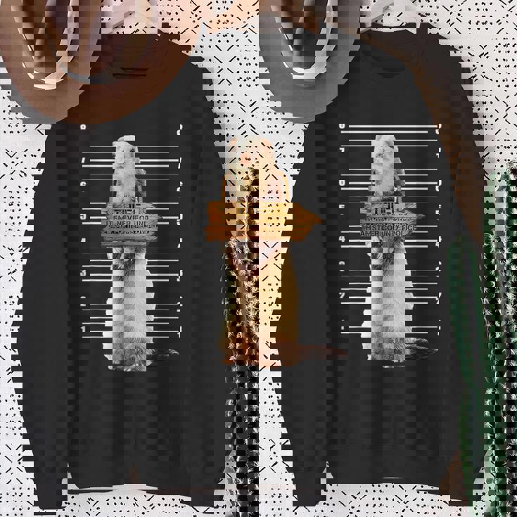 かわいいフェレット泥棒 面白い動物 スウェットシャツ 年配の女性への贈り物