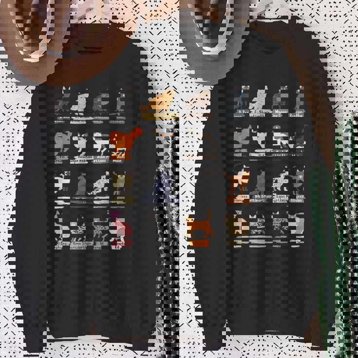 かわいい猫の種類 スウェットシャツ 年配の女性への贈り物