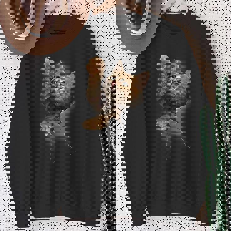 かわいい猫風 スウェットシャツ 年配の女性への贈り物