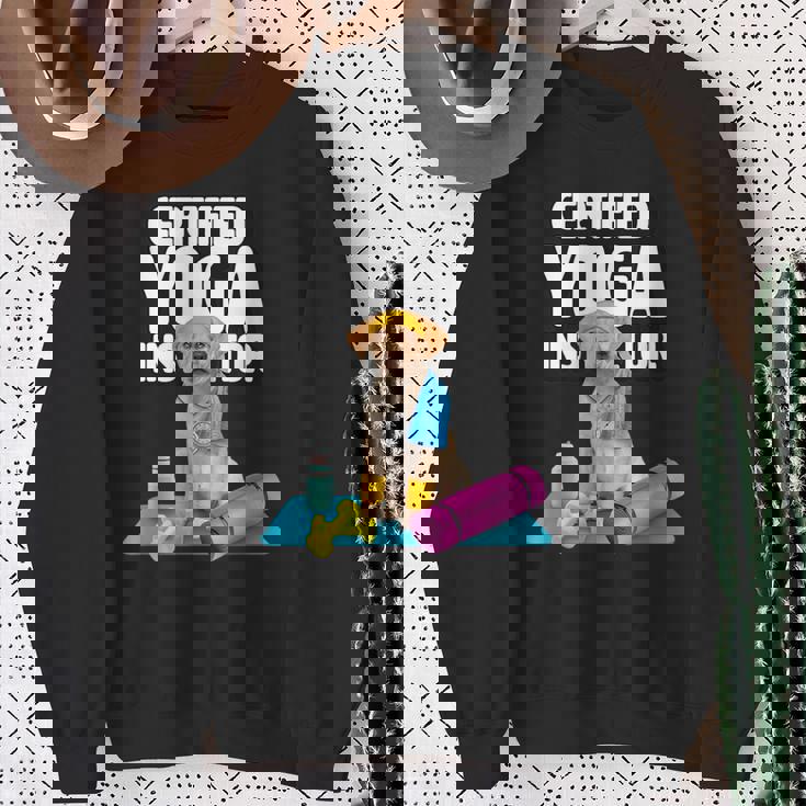 かわいい黄色いラブラドールヨガの先生が犬の子犬のためにヨガを作ります。 スウェットシャツ 年配の女性への贈り物