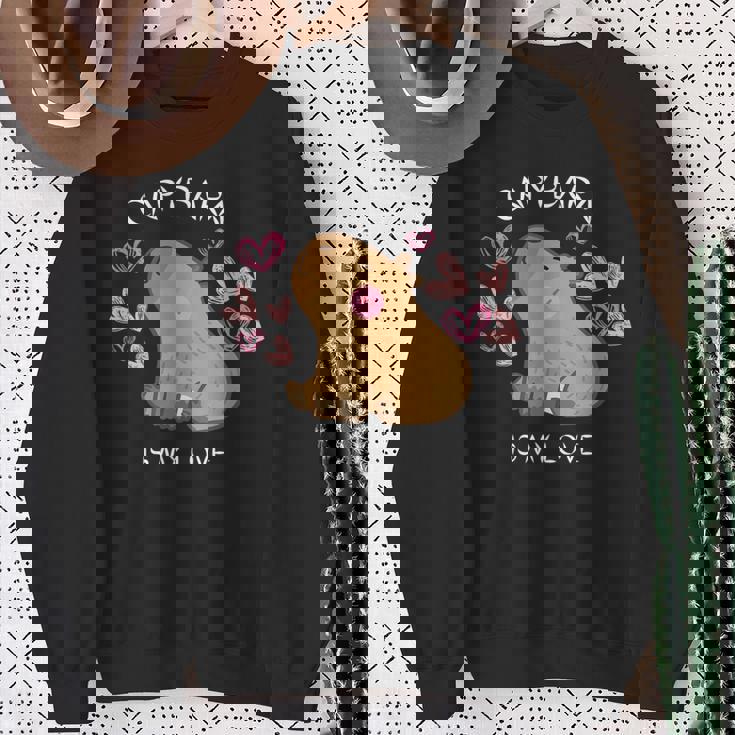 げっ歯類 面白いカピバラ カピバラアート メンズ レディース キッズ スウェットシャツ 年配の女性への贈り物