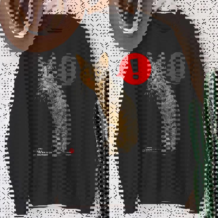 なにかをみつけたねこ、うずら 猫 かわいい キジトラ猫 Cat スウェットシャツ 年配の女性への贈り物