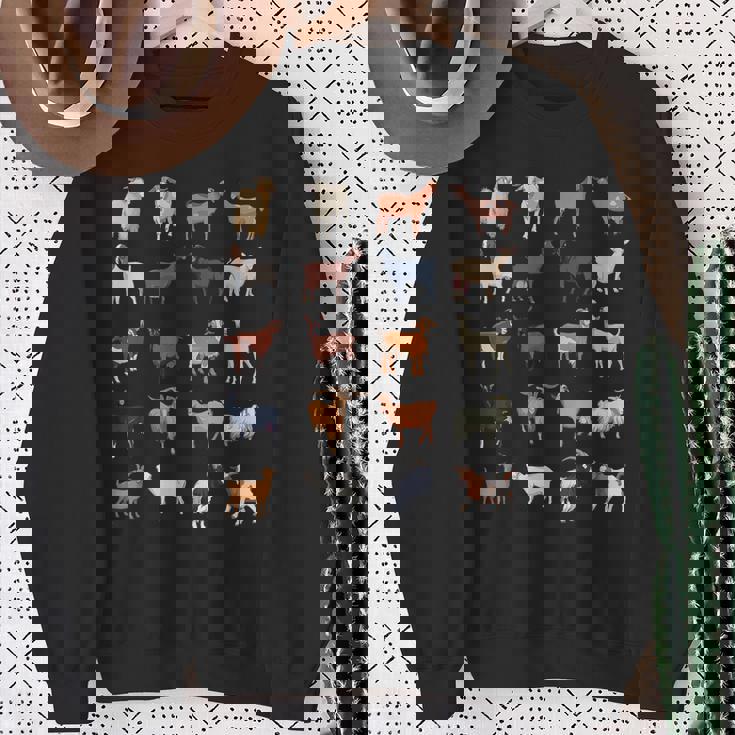 ふれあい動物園 たくさんのヤギ スウェットシャツ 年配の女性への贈り物