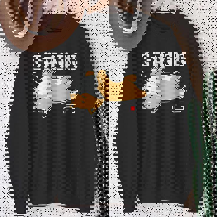 やる気スイッチ故障中 充電中 犬 柴犬 犬好き かわいい おもしろ 面白い スウェットシャツ 年配の女性への贈り物