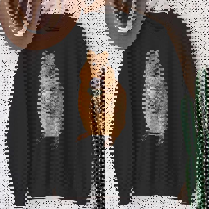 アイスクリームコーンを食べるカワイイクオッカ。 スウェットシャツ 年配の女性への贈り物