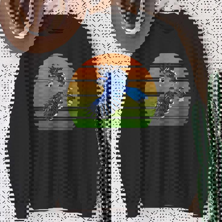 アオカケス 鳥 動物 図 バードウォッチング 贈り物 鳥類学者 生物学者 自然科学 スウェットシャツ 年配の女性への贈り物