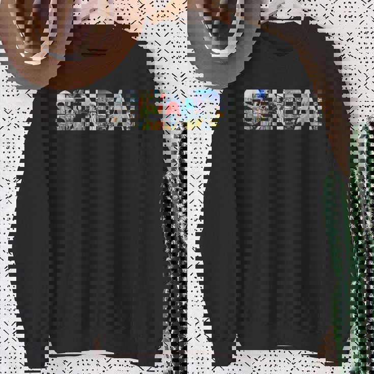 アジア 日本旅行 日本のランドマーク お土産 東北 仙台 スウェットシャツ 年配の女性への贈り物