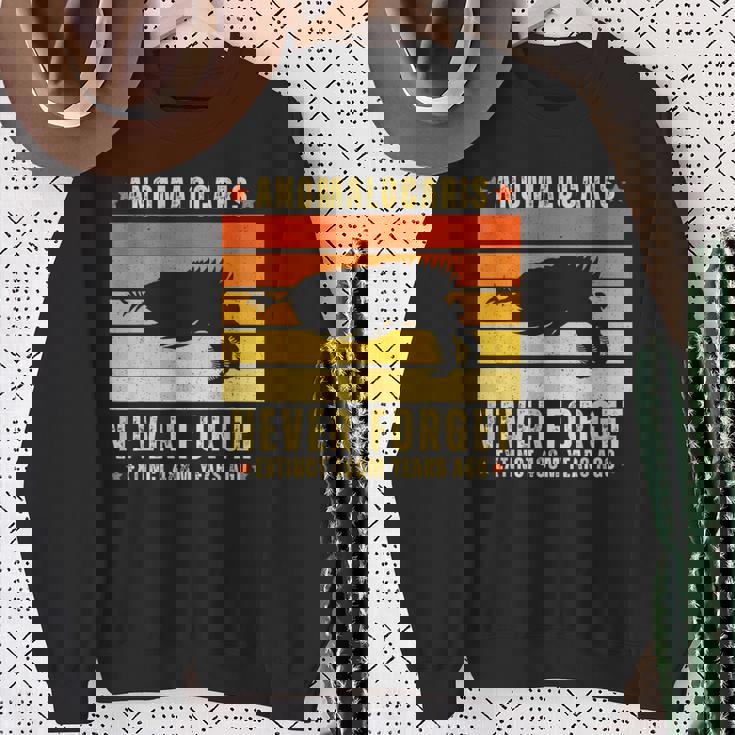 アノマロカリスは絶滅した節足動物を決して忘れない スウェットシャツ 年配の女性への贈り物