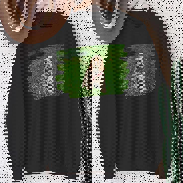 アメリカンコッカースパニエル 子犬 犬好き スウェットシャツ 年配の女性への贈り物