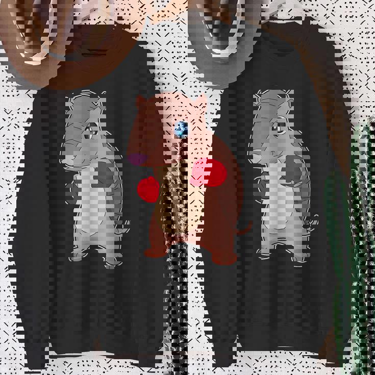 アルマジロ ボクサー ボクシンググローブ ボクシング スウェットシャツ 年配の女性への贈り物