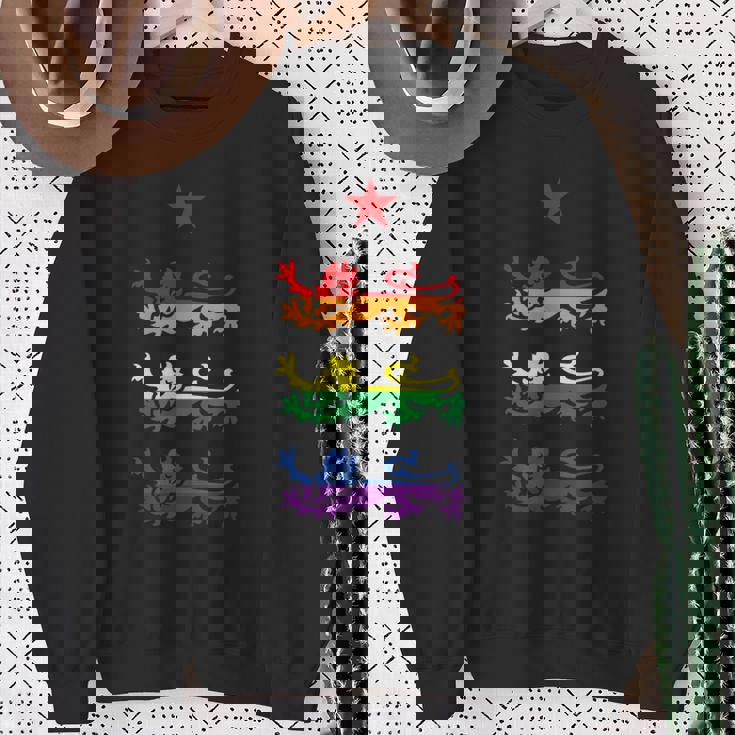 イングランド スリーレインボー プライド 紋章ライオンズ サッカー フットボール スウェットシャツ 年配の女性への贈り物