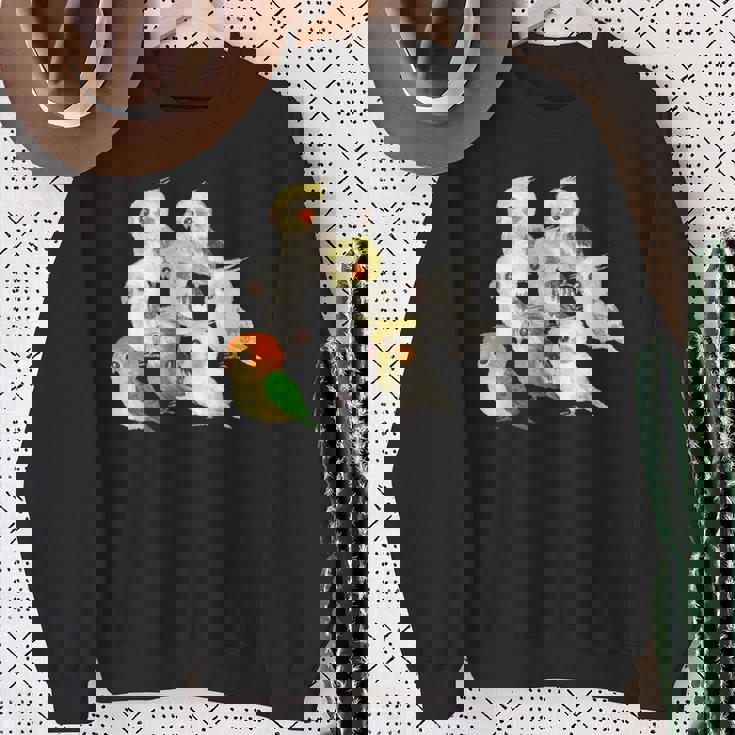 インコ かわいい 小鳥 ペット おもしろ 動物 イラスト スウェットシャツ 年配の女性への贈り物