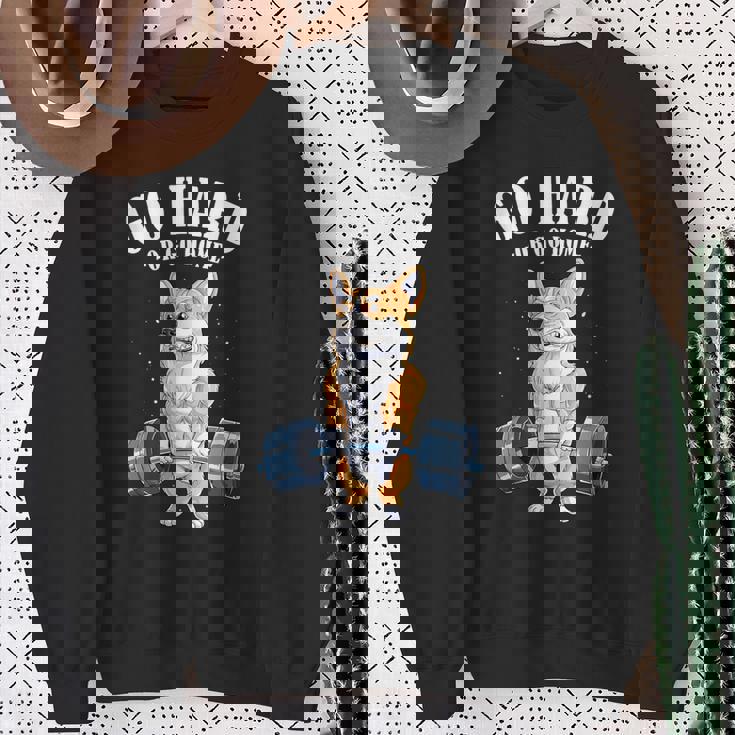 ウェルシュ・コーギー いぬ 犬 筋トレ 筋肉 バーベル ウエイトリフティング スウェットシャツ 年配の女性への贈り物