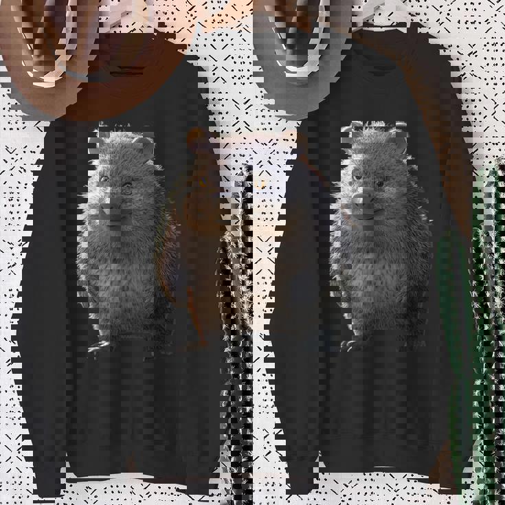 ウォンバット オーストラリア 有袋類 スイートウォンバット スウェットシャツ 年配の女性への贈り物