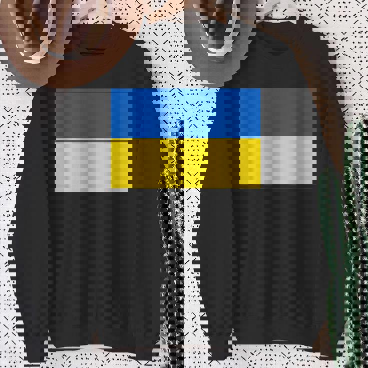 ウクライナ国旗デザイン スウェットシャツ 年配の女性への贈り物