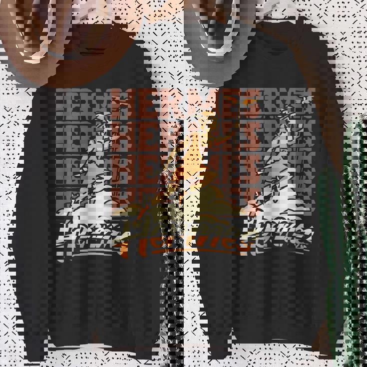 エルメス 素早いギリシャの商業とメッセージの神 スウェットシャツ 年配の女性への贈り物