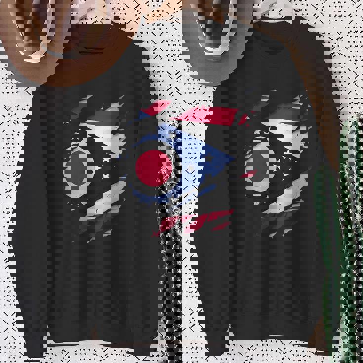 オハイオ州オハイオ州立大学 破れ加工 オハイオ州旗 スウェットシャツ 年配の女性への贈り物