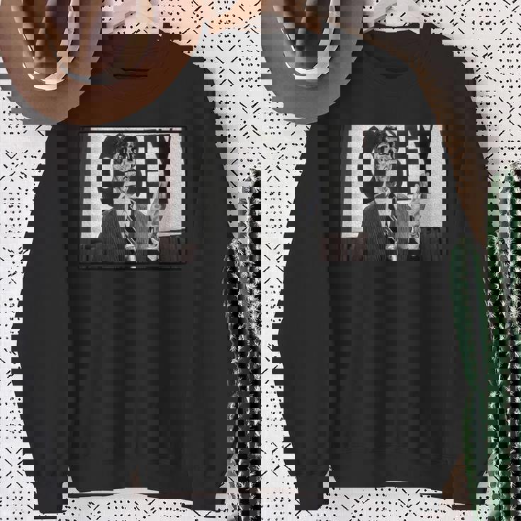 オベイ・Usaフリーダム・ファニー・デファイ・ファイト2 スウェットシャツ 年配の女性への贈り物