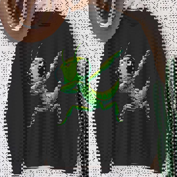 カマキリ、おかしなカマキリ スウェットシャツ 年配の女性への贈り物