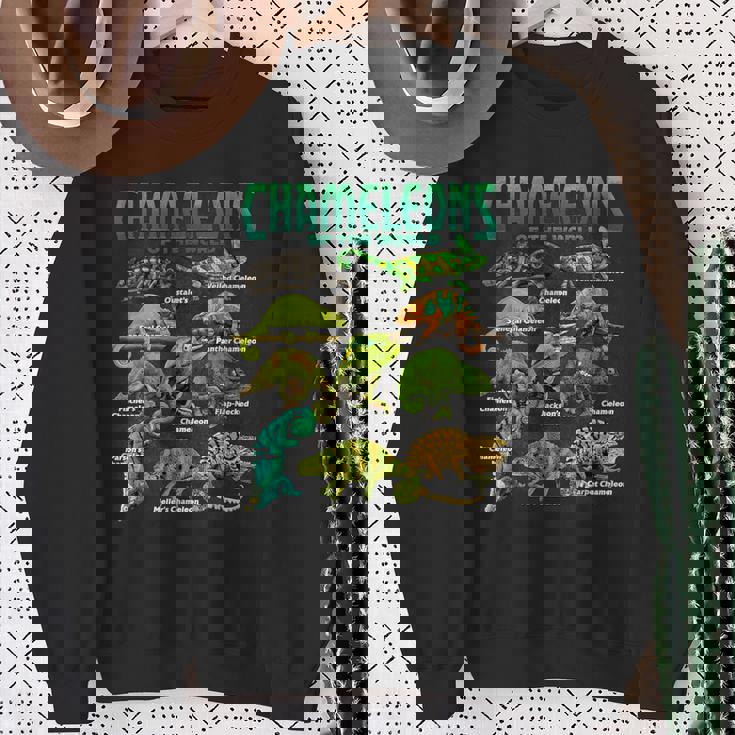 カメレオンズ・オブ・ザ・ワールド 知育爬虫類 トカゲ好き スウェットシャツ 年配の女性への贈り物