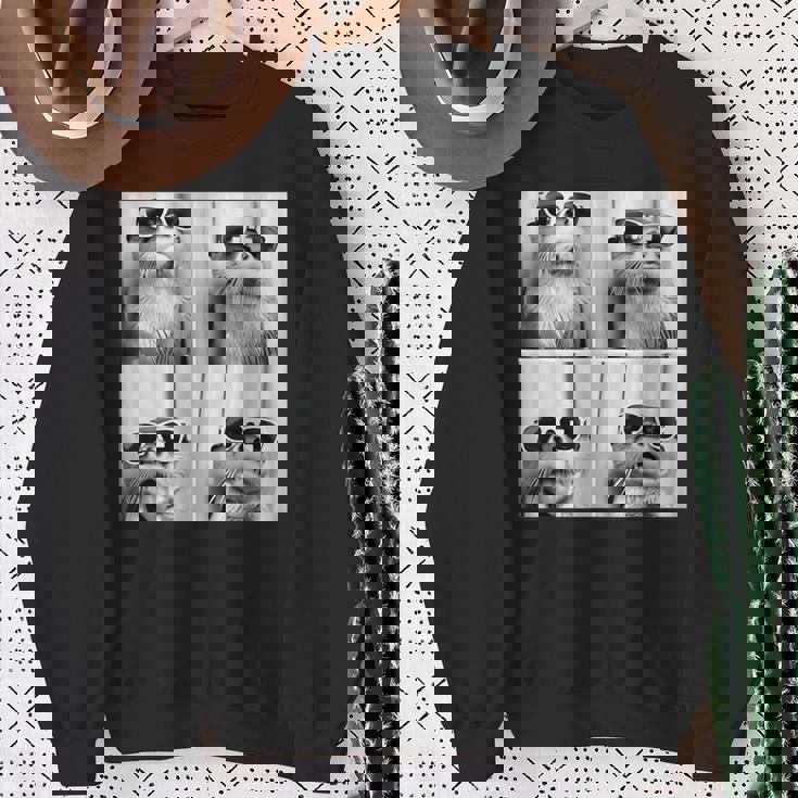 カワウソ サングラス スウェットシャツ 年配の女性への贈り物