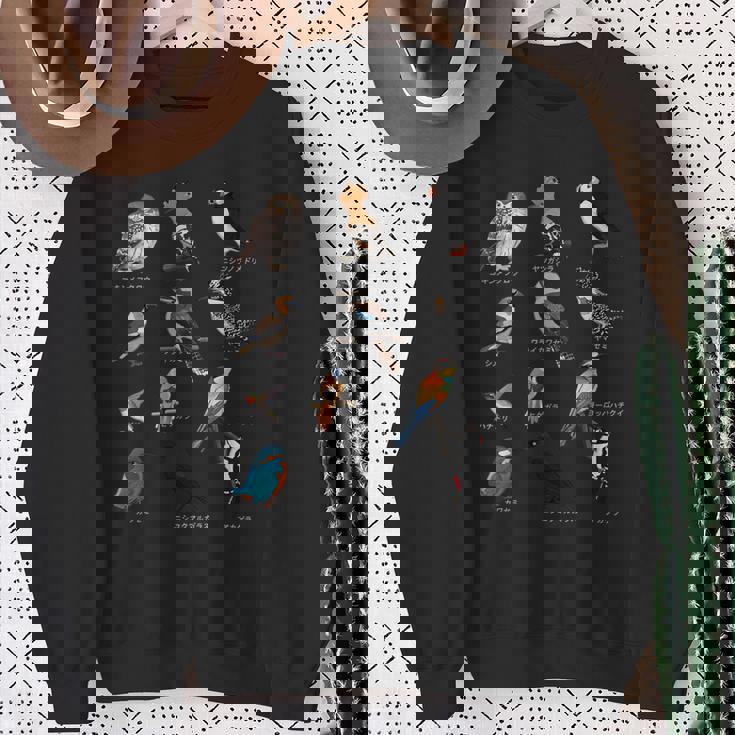 カワセミ ヒゲガラ ニシツノメドリ 鳥 動物 図 バードウォッチング 贈り物 鳥類学者 生物学者 自然科学 スウェットシャツ 年配の女性への贈り物