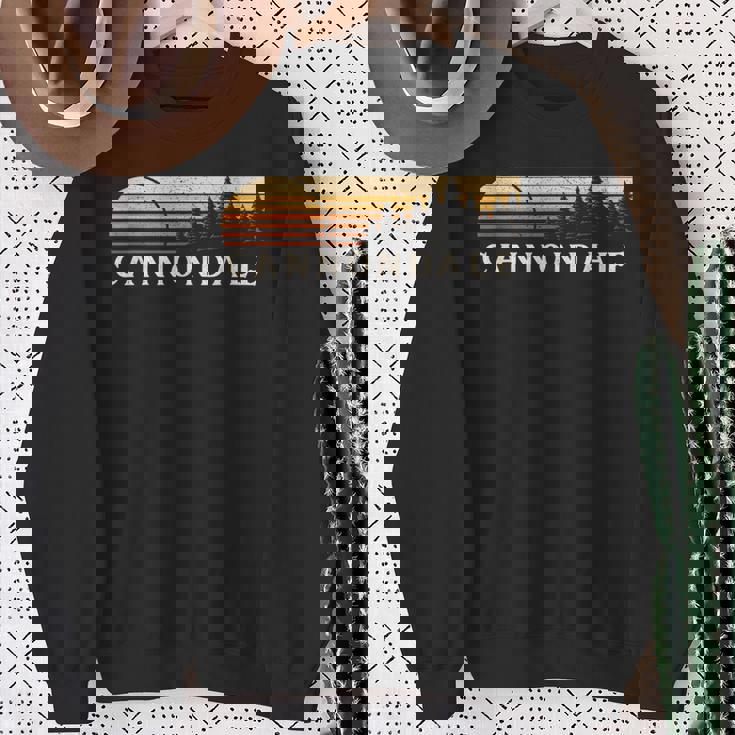 キャノンデール、Ct ヴィンテージ エバーグリーン サンセット 80年代 レトロ スウェットシャツ 年配の女性への贈り物