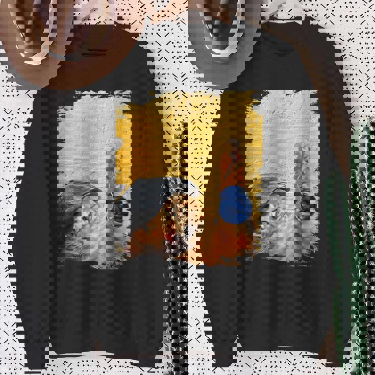 クラシックブルーヨーヨーの猫 スウェットシャツ 年配の女性への贈り物