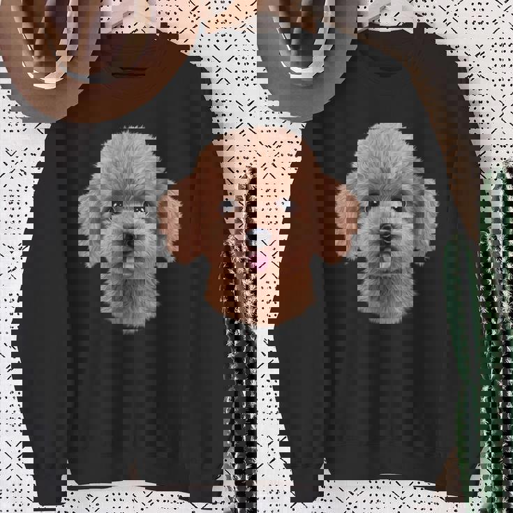 クリーム トイプードル 犬 いぬ 顔 スウェットシャツ 年配の女性への贈り物