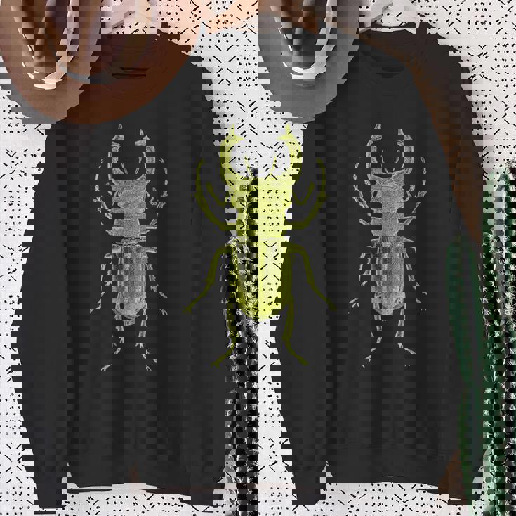 クワガタ愛好家のためのクールなクワガタやカブトムシのアートを使ったヴィンテージ昆虫学 スウェットシャツ 年配の女性への贈り物