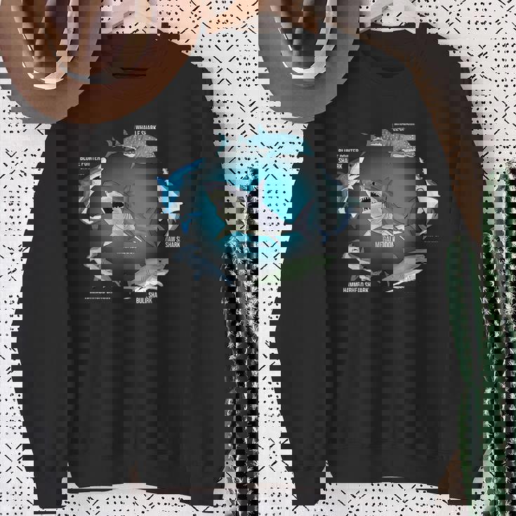 サメ6種 サメタイプ サメ 海の生き物 メガロドン サメ スウェットシャツ 年配の女性への贈り物