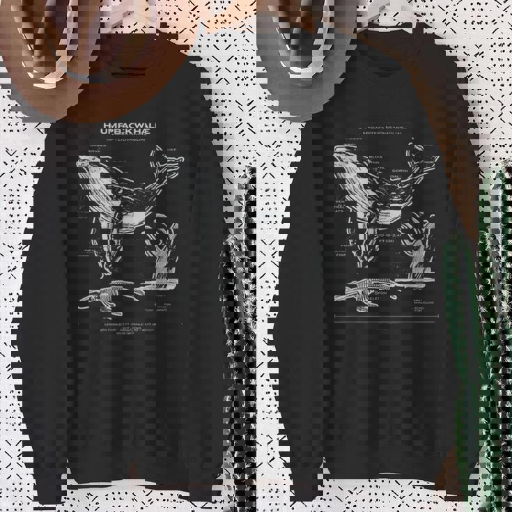 ザトウクジラの解剖学アパレルクジラ航海 スウェットシャツ 年配の女性への贈り物