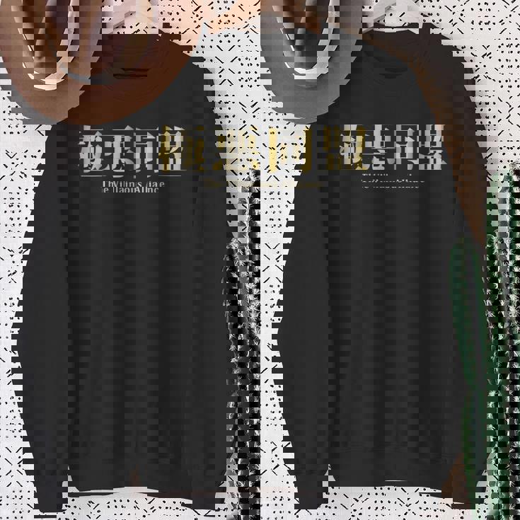 ザ・極悪同盟 Theillainous Alliance スウェットシャツ 年配の女性への贈り物