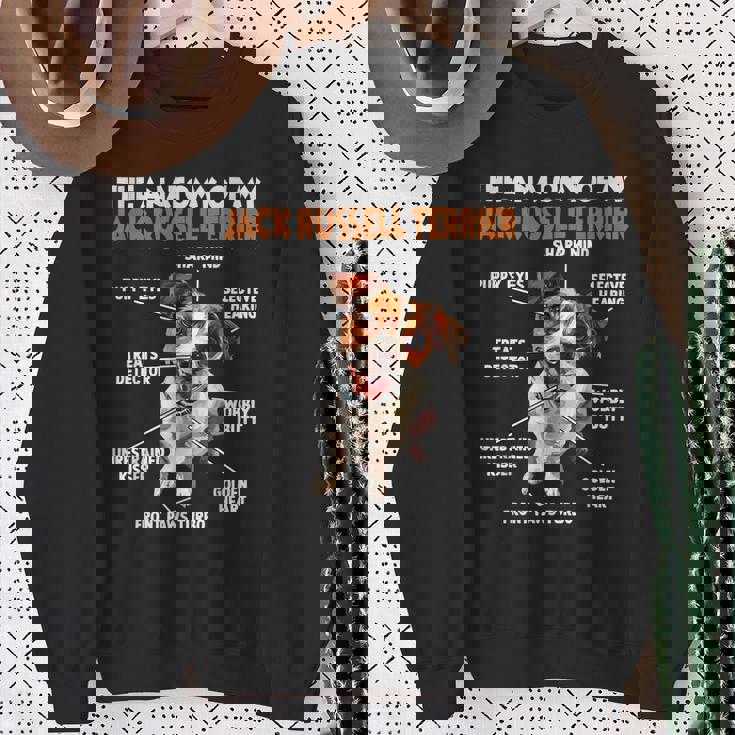 ジャック・ラッセル・テリア犬の飼い主Walk Dogs スウェットシャツ 年配の女性への贈り物