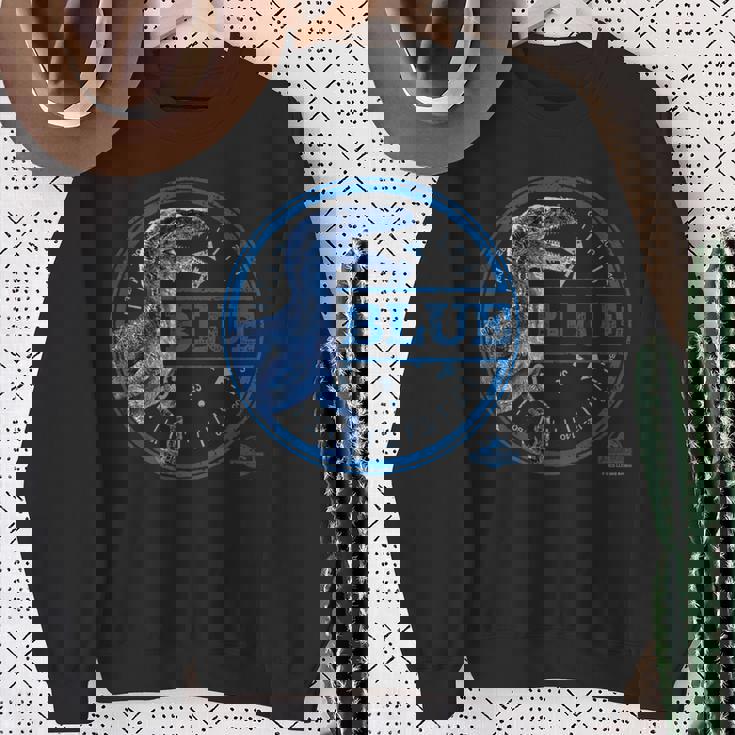 ジュラシック・ワールド Bluecompass スウェットシャツ 年配の女性への贈り物