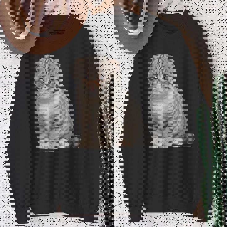 スコティッシュフォールド シンプルデザイン スウェットシャツ 年配の女性への贈り物