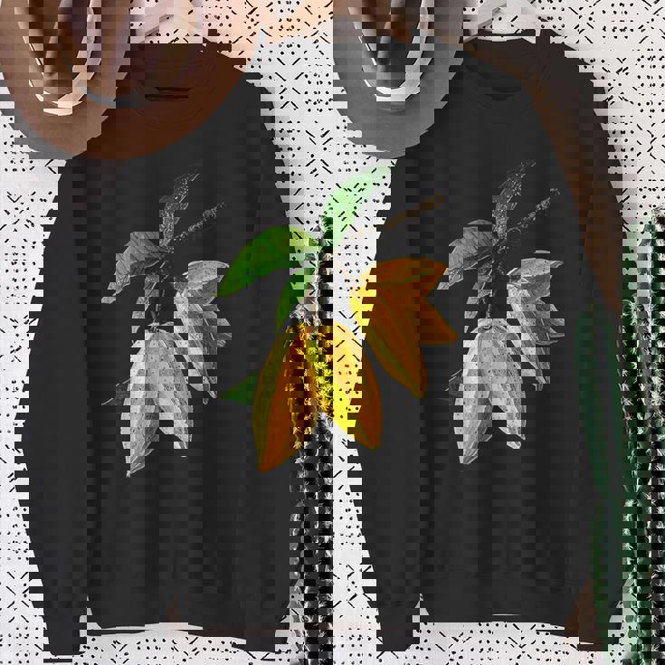 スターフルーツ フルーツ モチーフ イラスト スターフルーツ スウェットシャツ 年配の女性への贈り物