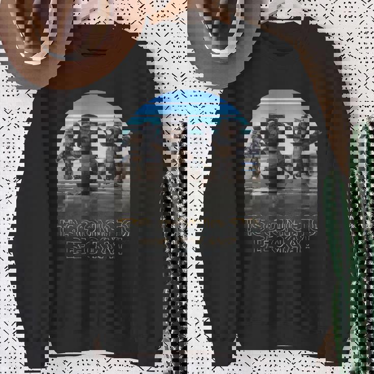 スター・ウォーズ マンダロリアン 大丈夫 レトロショット スウェットシャツ 年配の女性への贈り物