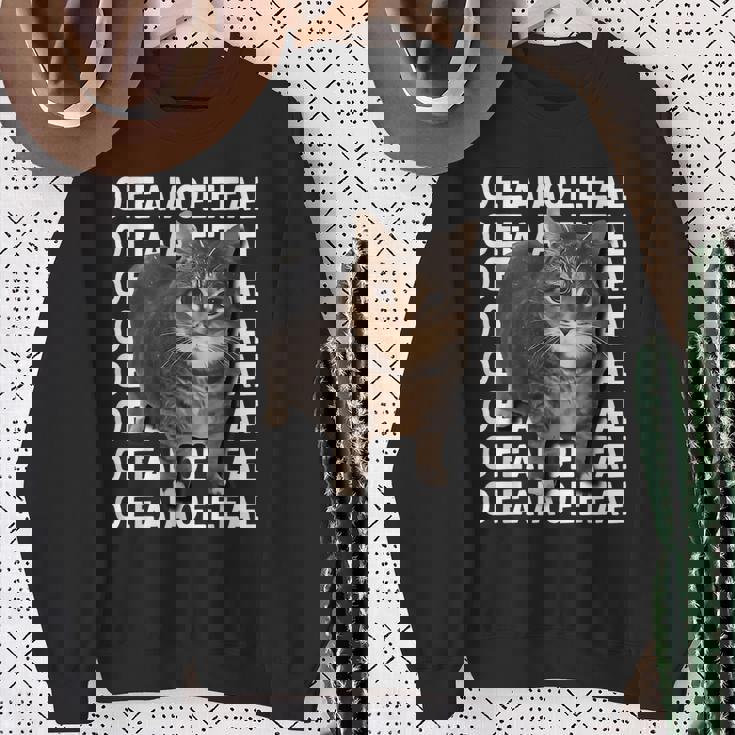 スピニングキャットミーム Oiiaoiia キャットミーム スウェットシャツ 年配の女性への贈り物