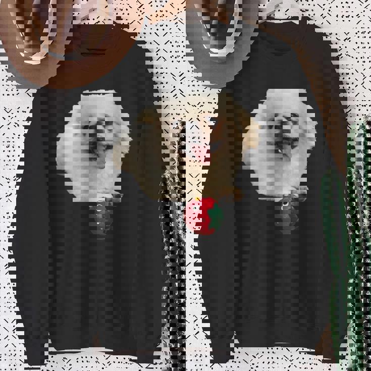 スマイル ペキニーズサニー スウェットシャツ 年配の女性への贈り物