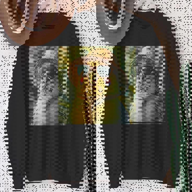 セキセイインコは休暇中、面白い動物、面白いオウム スウェットシャツ 年配の女性への贈り物